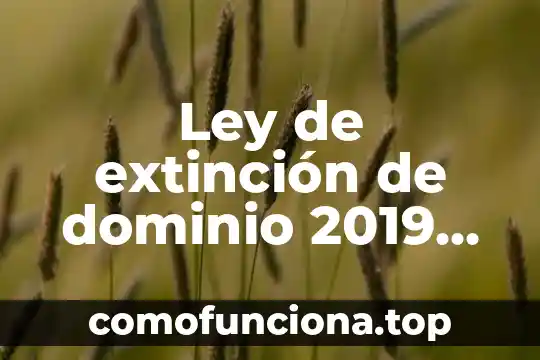 Que es la comunicación 2019 4 Ley de extinción de dominio 2019 que es