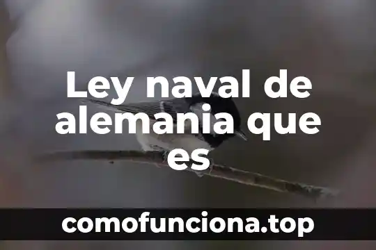 Que es la ley de tension 7 Ley naval de alemania que es