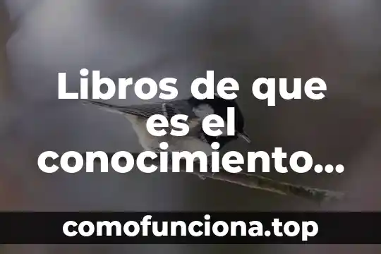 Que es un organigrama fundamentos de la administración 4 Libros de que es el conocimiento fundamentos de la informacion