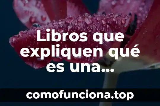 Por que es importante la cultura organizacional en una empresa 5 Libros que expliquen qué es una empresa