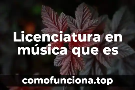 Qué es la licenciatura en educación familiar 4 Licenciatura en música que es