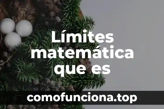 En matematica que es homotecia 3 Límites matemática que es