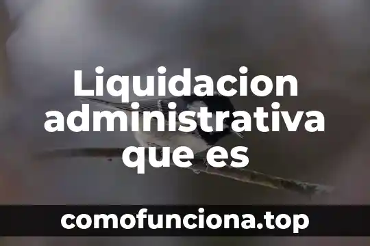 Qué es informática administrativa definición 3 Liquidacion administrativa que es