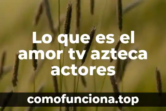 Qué es el número azteca en información 3 Lo que es el amor tv azteca actores