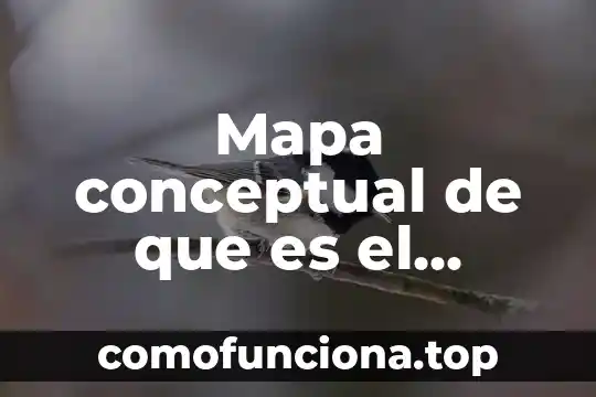 Que es racionalismo mapa conceptual 8 Mapa conceptual de que es el numero clasificar