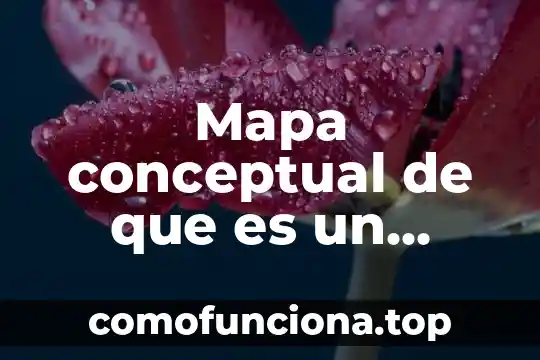 Mapa conceptual de que es deporte 3 Mapa conceptual de que es un mapa en geografía