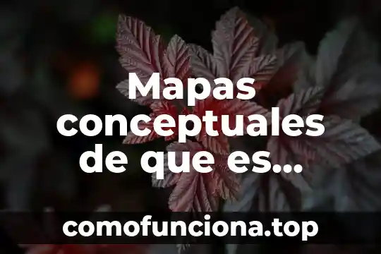Que es una sucesion de mapas 6 Mapas conceptuales de que es bioenergética