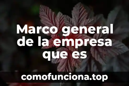 Qué es el marco mundial de una tesis 4 Marco general de la empresa que es