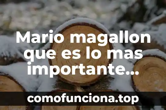Que es estado de cultura 5 Mario magallon que es lo mas importante que hizo