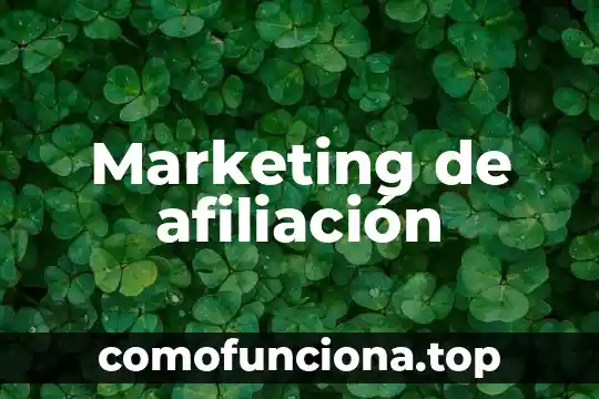 Qué es número de afiliación al seguro popular 6 Marketing de afiliación