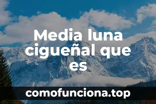Que es mejor la lumiskin o la luna 4 Media luna cigueñal que es