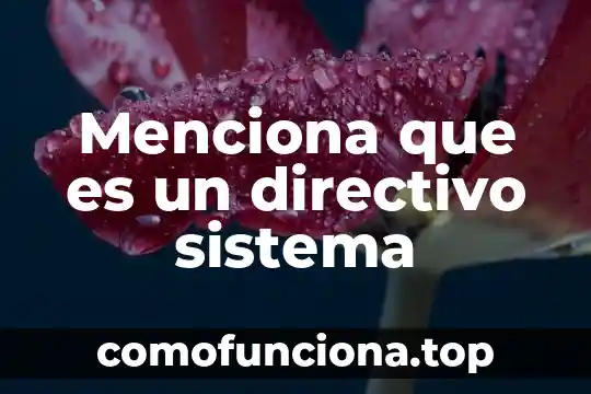 Qué es un decálogo de cultura de paz 3 Menciona que es un directivo sistema
