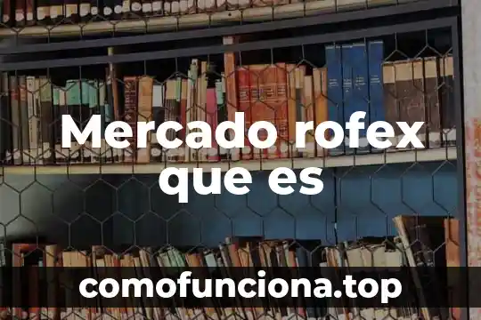 Que es el mercado del arte 6 Mercado rofex que es