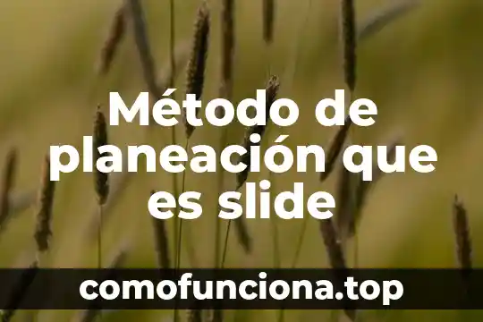 Método de Newton-Raphson que es 4 Método de planeación que es slide