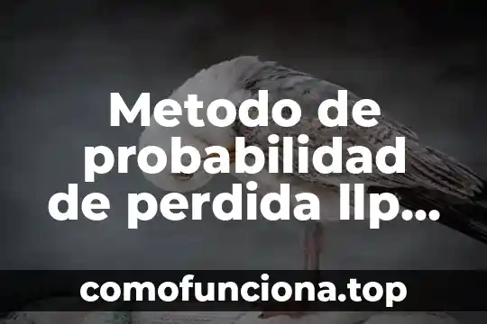 Que es el principio multiplicativo en probabilidad y estadistica 7 Metodo de probabilidad de perdida llp que es