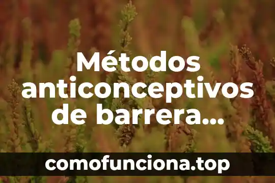 Que es el conocimiento tecnologico fines y metodos 5 Métodos anticonceptivos de barrera condones
