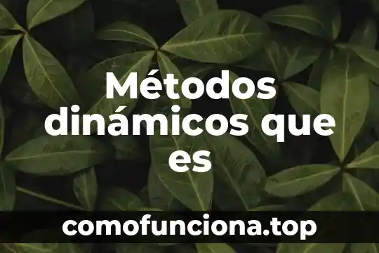 Qué es transmisión métodos anticonceptivos 5 Métodos dinámicos que es