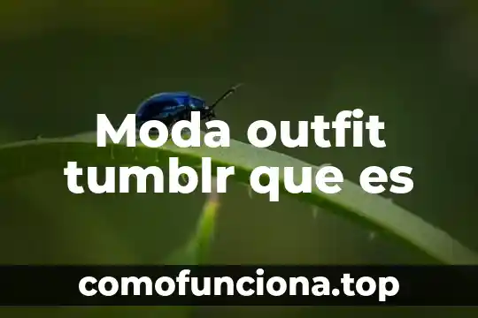 Que es un coordinador de moda 3 Moda outfit tumblr que es