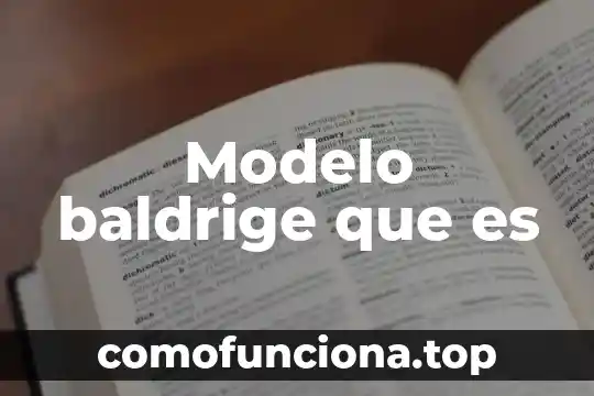 Que es el modelo isla 6 Modelo baldrige que es