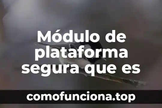 Qué es el módulo de Hooke teoría 3 Módulo de plataforma segura que es