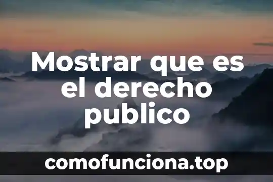 Que es arte y consonante 7 Mostrar que es el derecho publico