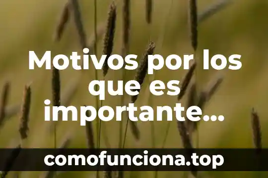 Por que es importante conocer los procesos en windows 4 Motivos por los que es importante decir la verdad