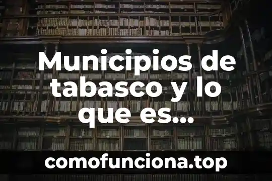 Otros nombres con los que es conocido la moringa 5 Municipios de tabasco y lo que es conocido