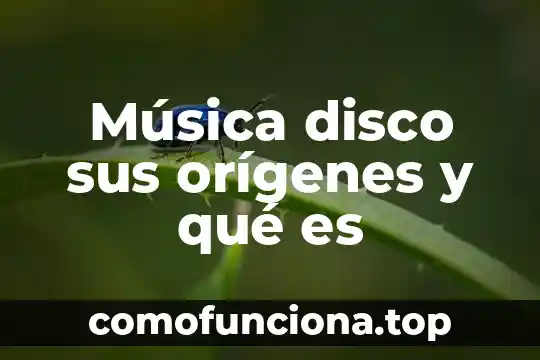 Que es la arquitectura de disco duro 4 Música disco sus orígenes y qué es