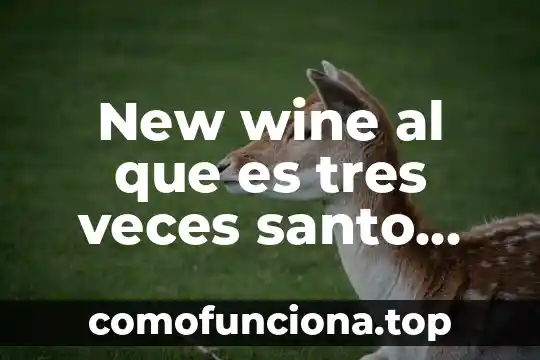 Pajo santo que es y los milagros que hace 5 New wine al que es tres veces santo musica