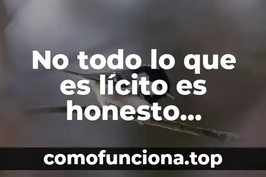 Todo aserca de lo que es un dibujo 5 No todo lo que es lícito es honesto significado