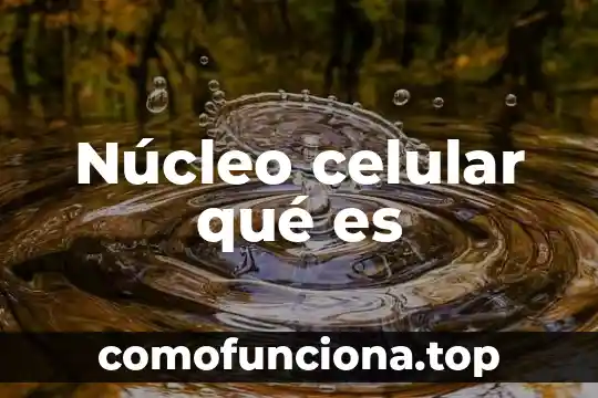 Qué es la teoría celular postulados 6 Núcleo celular qué es