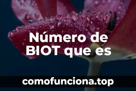 Que es el numero de resolucion 4 Número de BIOT que es
