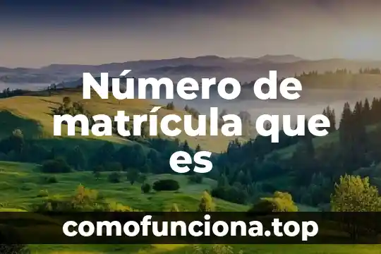 Qué es el número interbancario 7 Número de matrícula que es