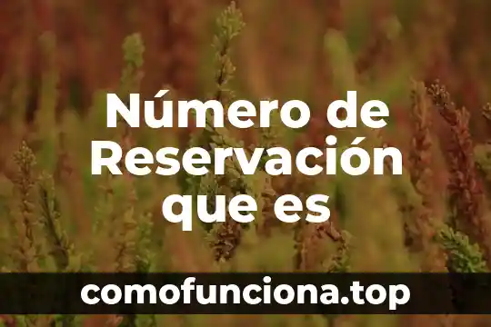 Que es el numero de bastidor 4 Número de Reservación que es