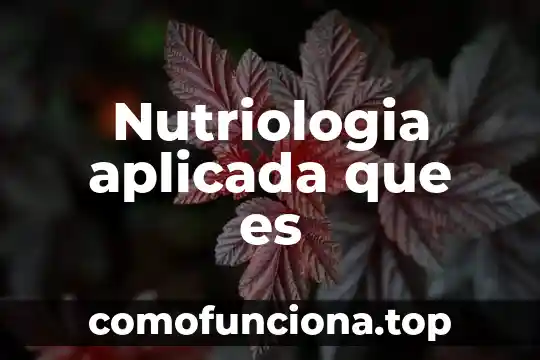 Qué es la teoría reticular 3 Nutriologia aplicada que es