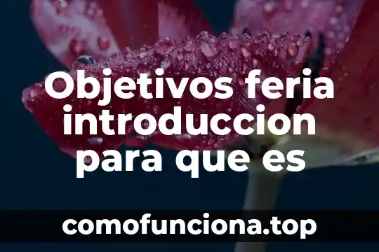 Que es logro de objetivos en administracion 3 Objetivos feria introduccion para que es