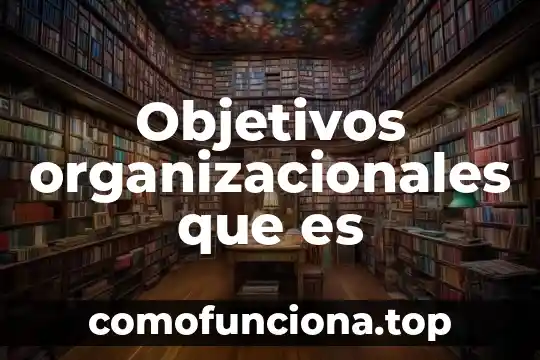 Que es concepto y objetivos 6 Objetivos organizacionales que es