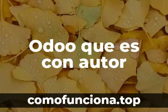 Que es racionalismo autor 5 Odoo que es con autor