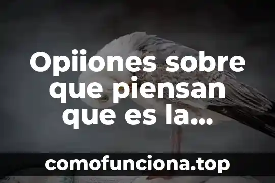 Qué es el empirismo de la filosofía moderna 3 Opiiones sobre que piensan que es la filosofía