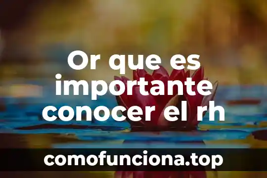 Que es conocer siglas 5 Or que es importante conocer el rh