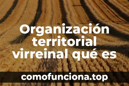 Que es la organizacion de un animal 7 Organización territorial virreinal qué es