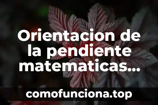 Qué es número con signo en matemáticas 4 Orientacion de la pendiente matematicas que es
