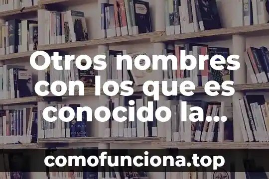 Que es un error conocido 6 Otros nombres con los que es conocido la moringa