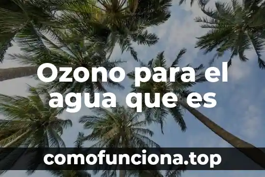 Que es un argumento y para quenos sirve 3 Ozono para el agua que es