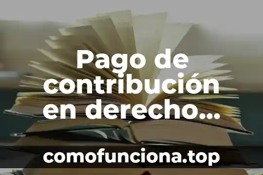 Gifs de lo que es ser mexicano 3 Pago de contribución en derecho fiscal mexicano