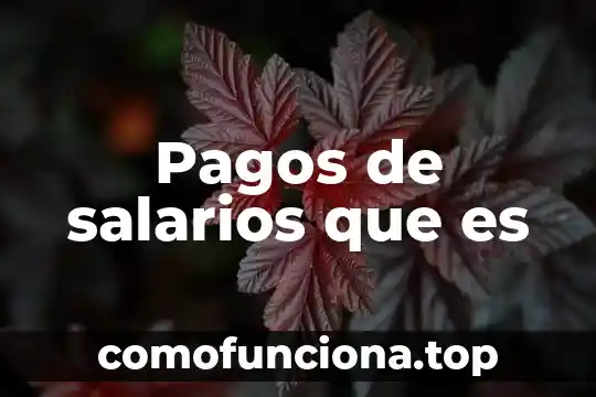 Que es un plan de sueldos y salarios 3 Pagos de salarios que es