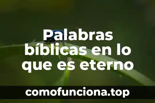 Qué es el calcio significado 6 Palabras bíblicas en lo que es eterno