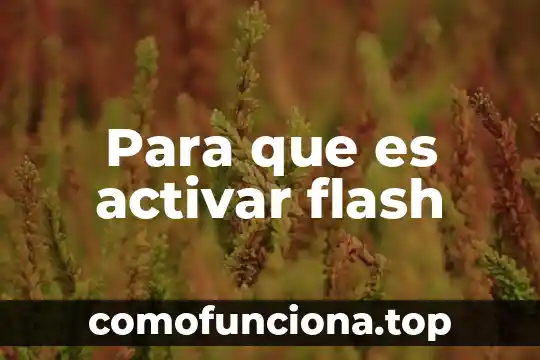 Que es activar el complemento en inmunologia 7 Para que es activar flash