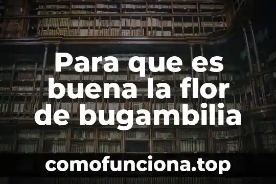 Xxx le enseña lo que es una buena penetrada 5 Para que es buena la flor de bugambilia