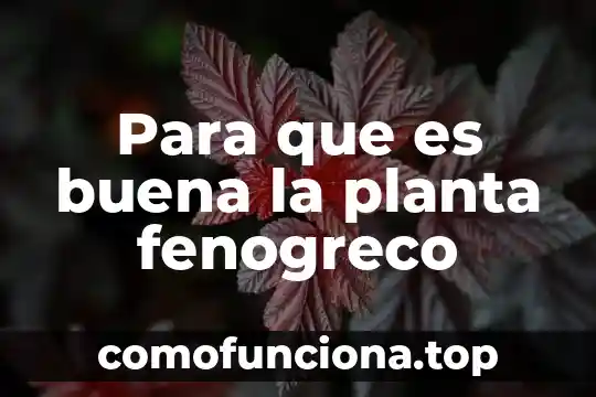 Que es la yemula de una planta 5 Para que es buena la planta fenogreco